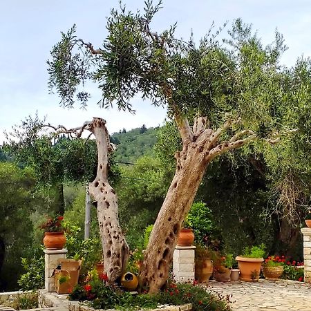 Villa Raxi Fountana Kültér fotó