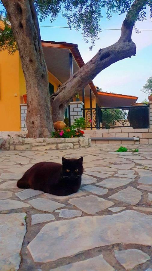Villa Raxi Fountana Kültér fotó