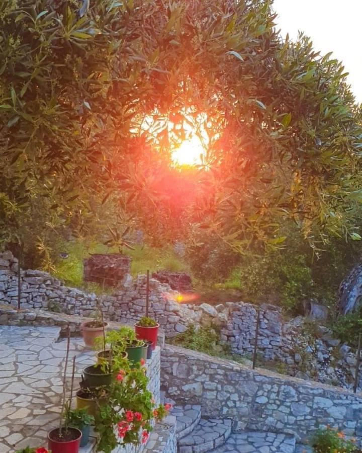Villa Raxi Fountana Kültér fotó